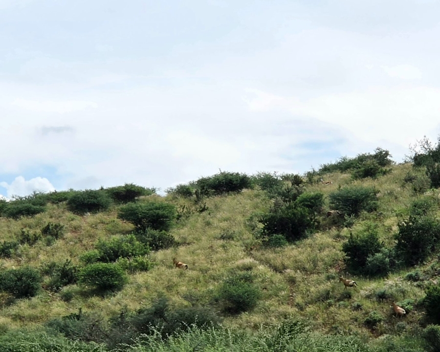 Commercial Property for Sale in Griekwastad Rural Northern Cape